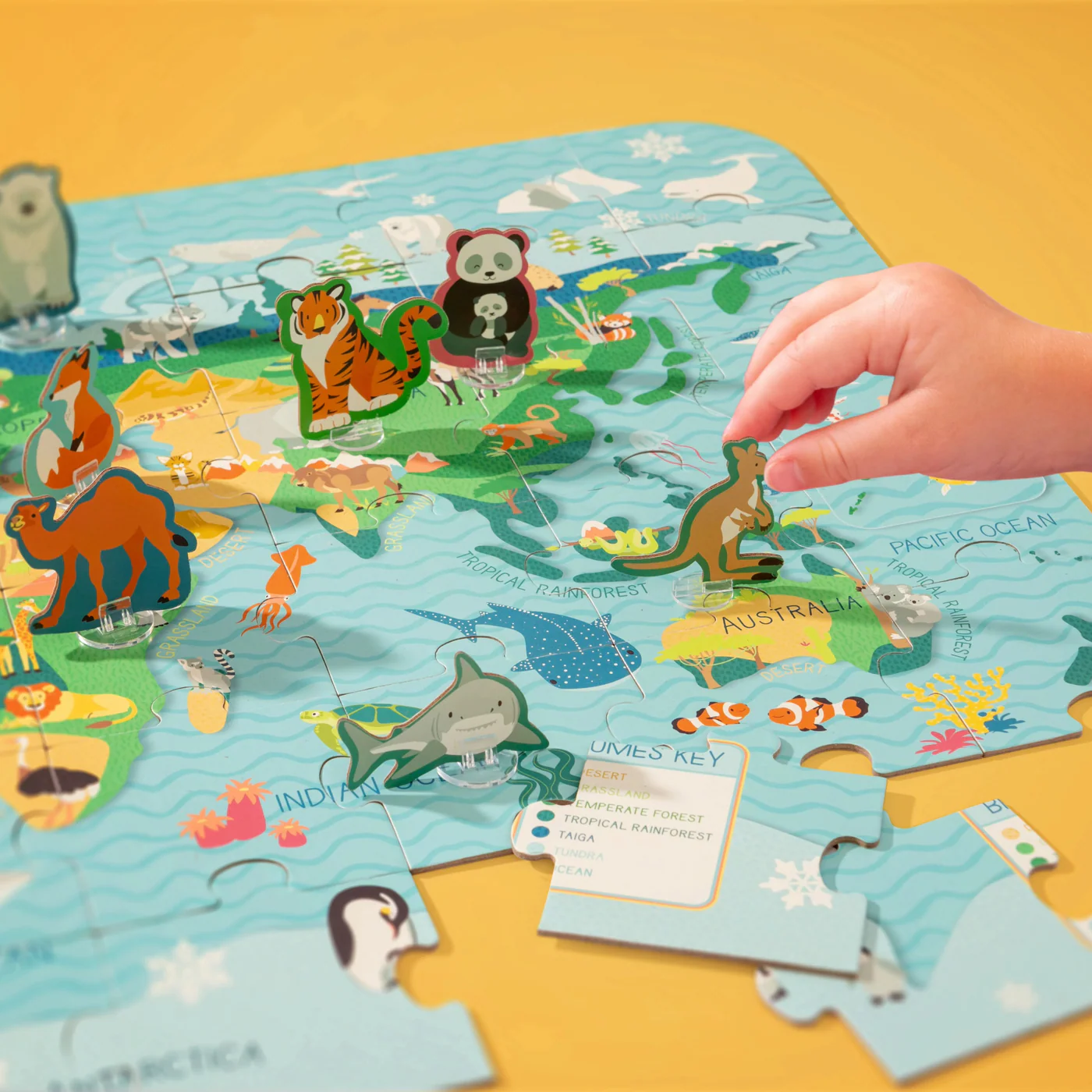 Stephen Joseph Animal Biomes Jigsaw Puzzle - Image 4