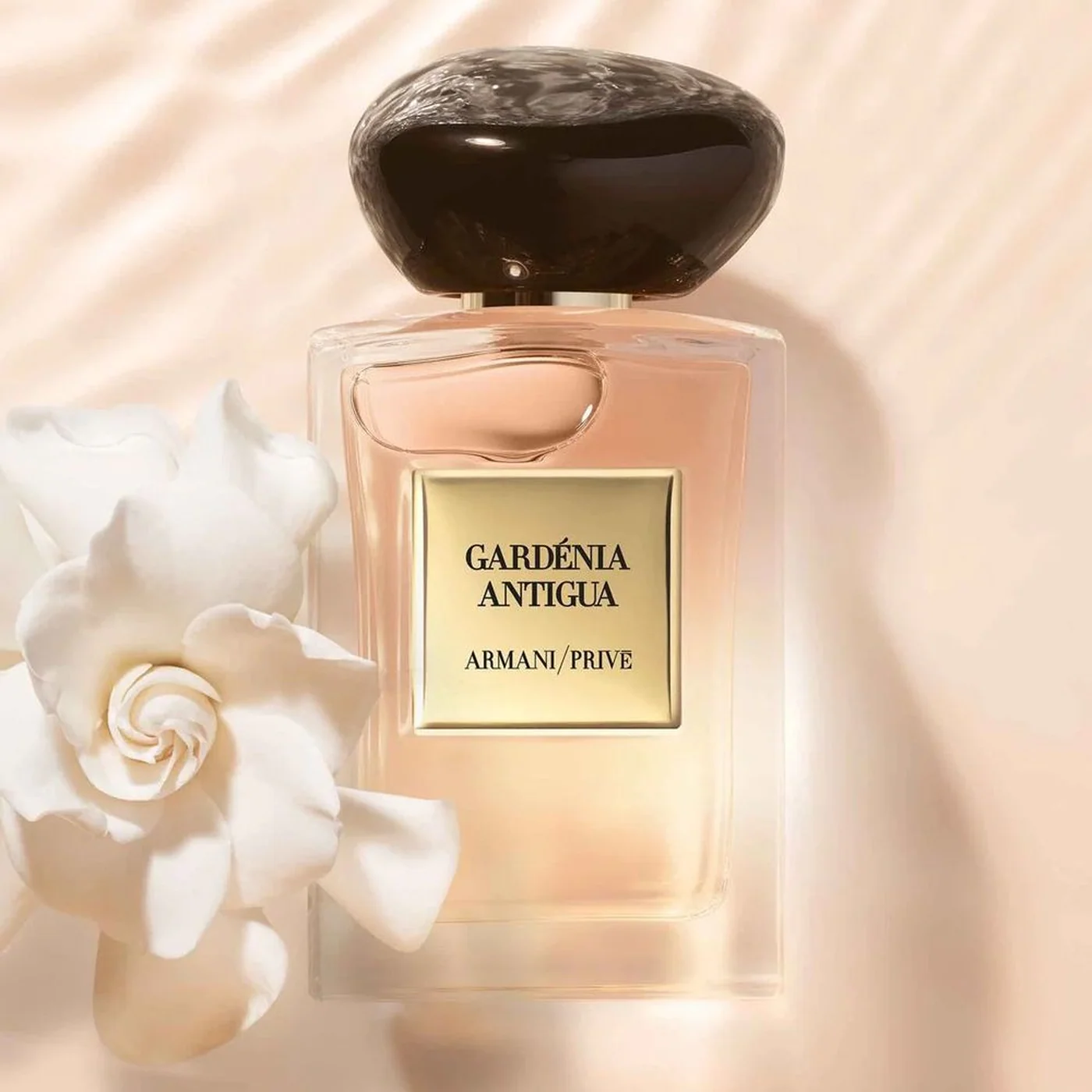 Armani Prive Gardenia Antigua EDT 100Ml Unisex - Image 5