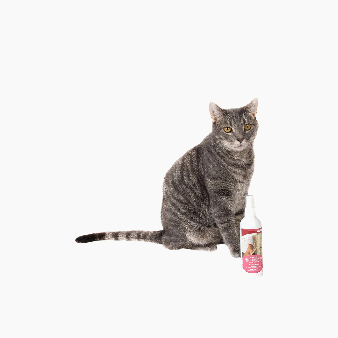 Bioline Keep Off Spray Cat Repellent - Image 2