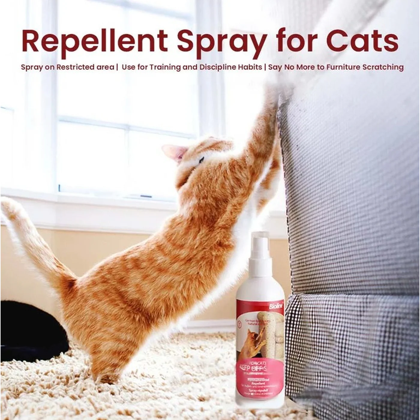 Bioline Keep Off Spray Cat Repellent - Image 5