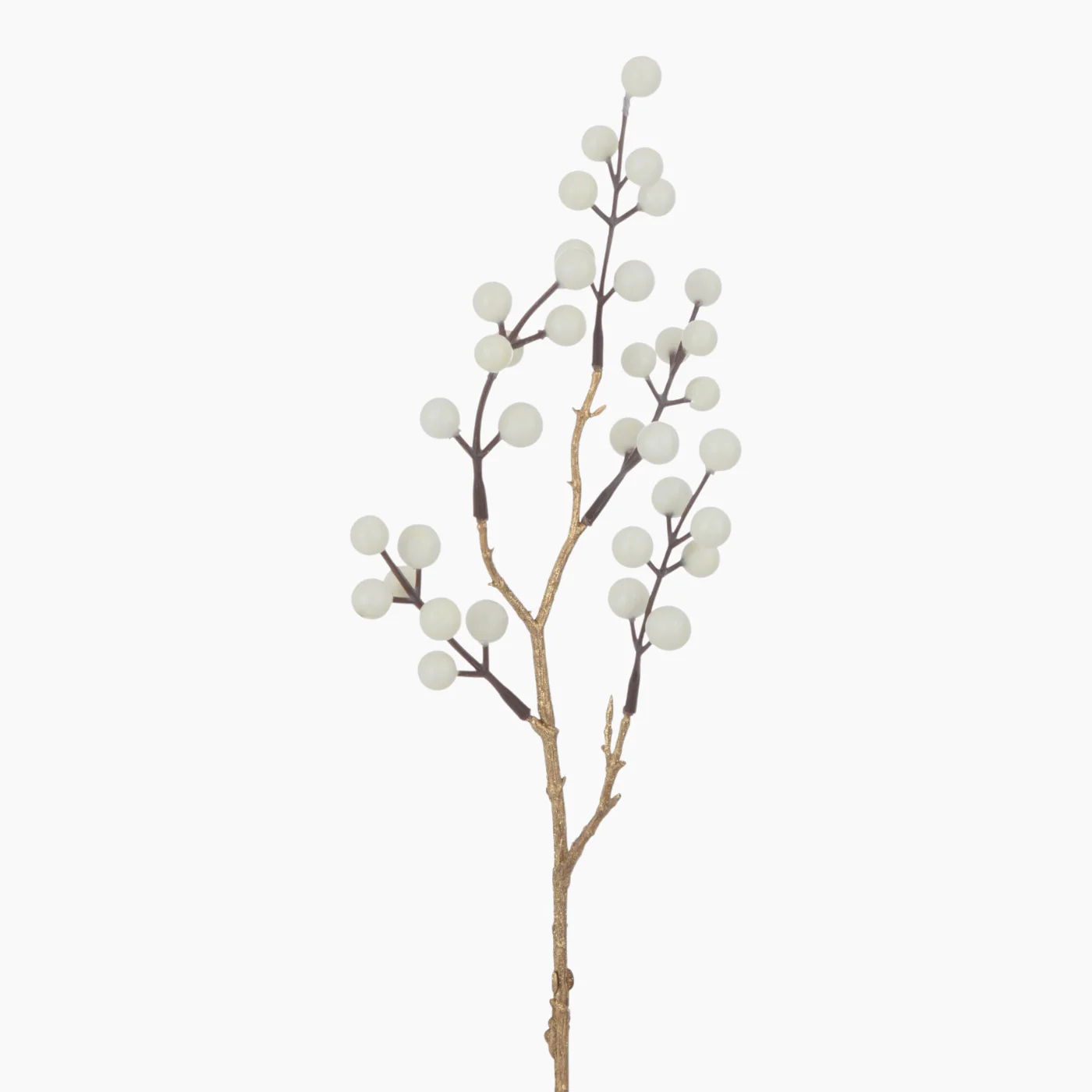 Branch Berries