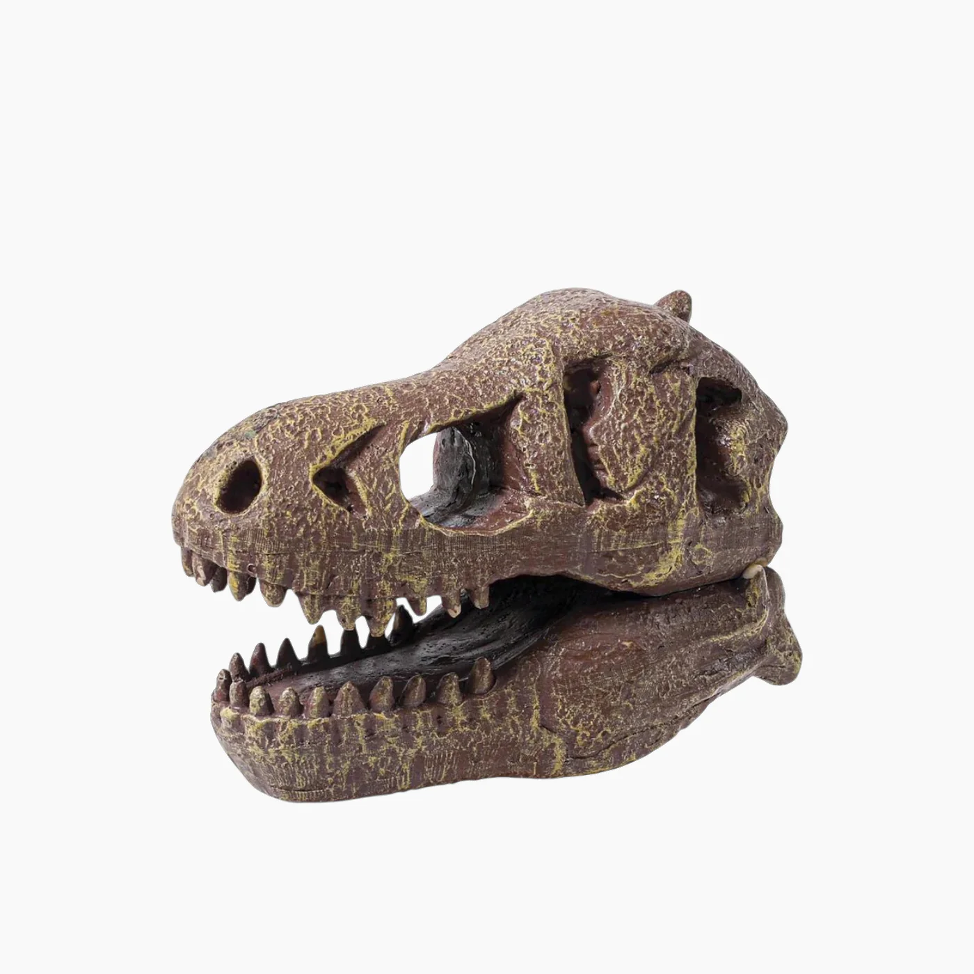 Buki Dinosaurskull Tyrannosaurus1X6 - Image 2