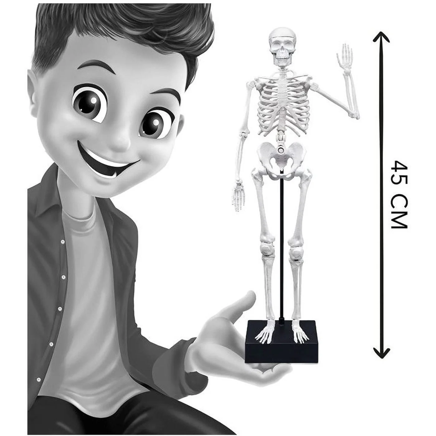 Buki Skeleton Model - Image 6