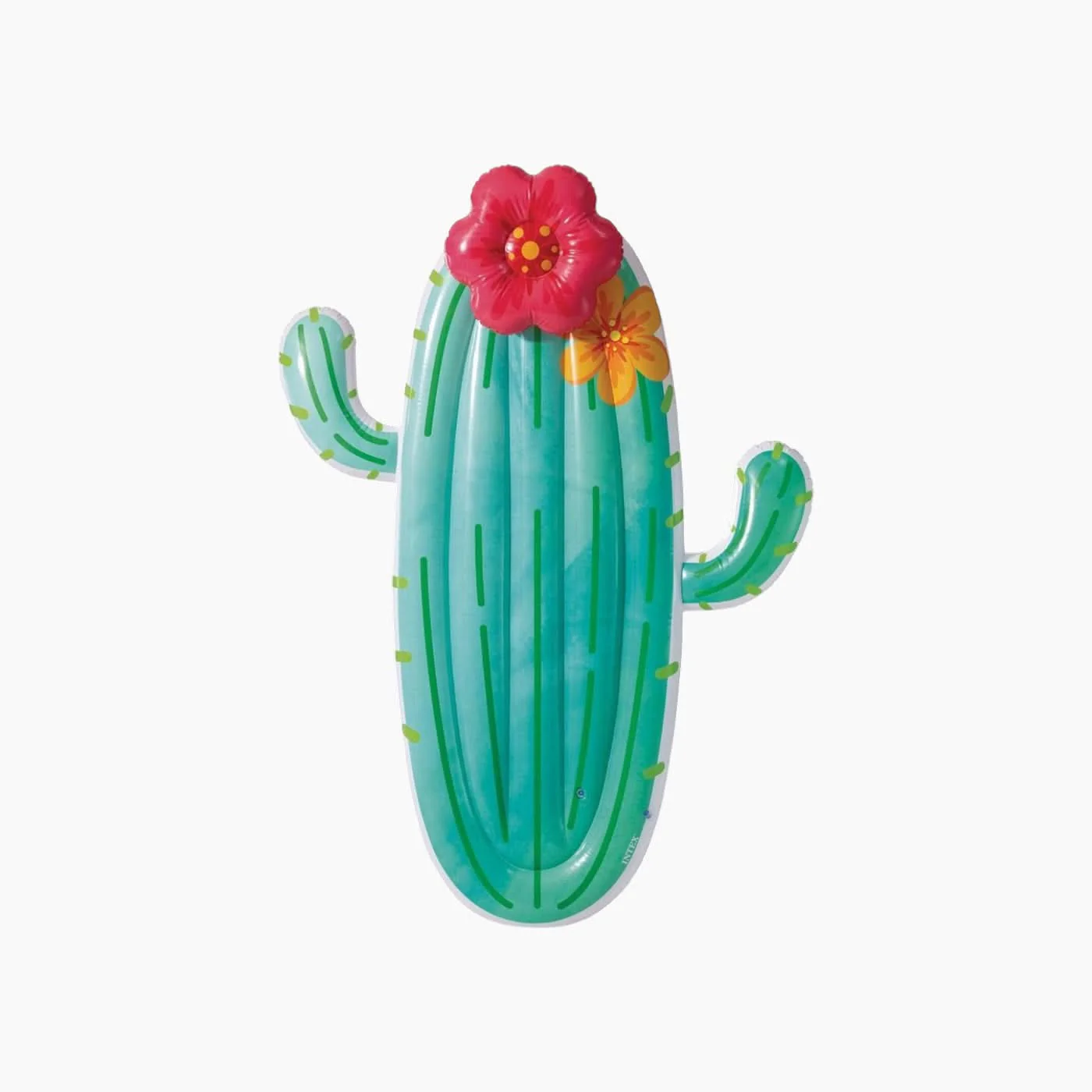 Intex Cactus Pool Float