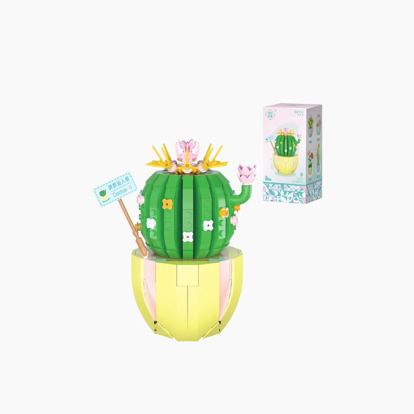 Cactus Pot Board Game