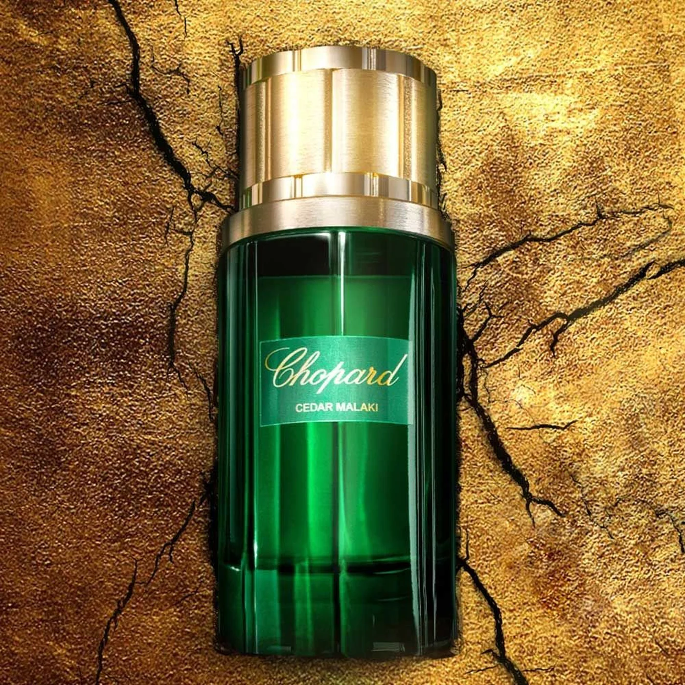 Chopard Cedar Malaki EDP 80Ml For Men - Image 3