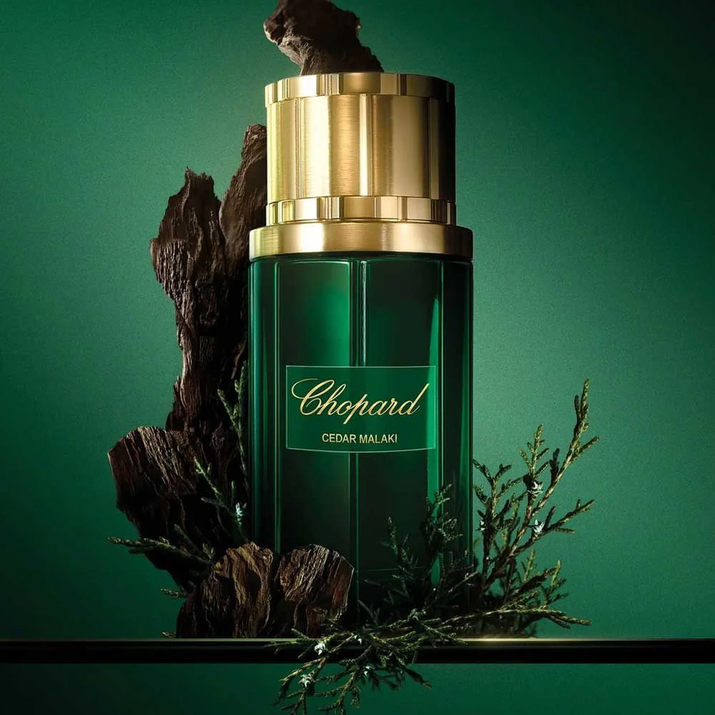 Chopard Cedar Malaki EDP 80Ml For Men - Image 4