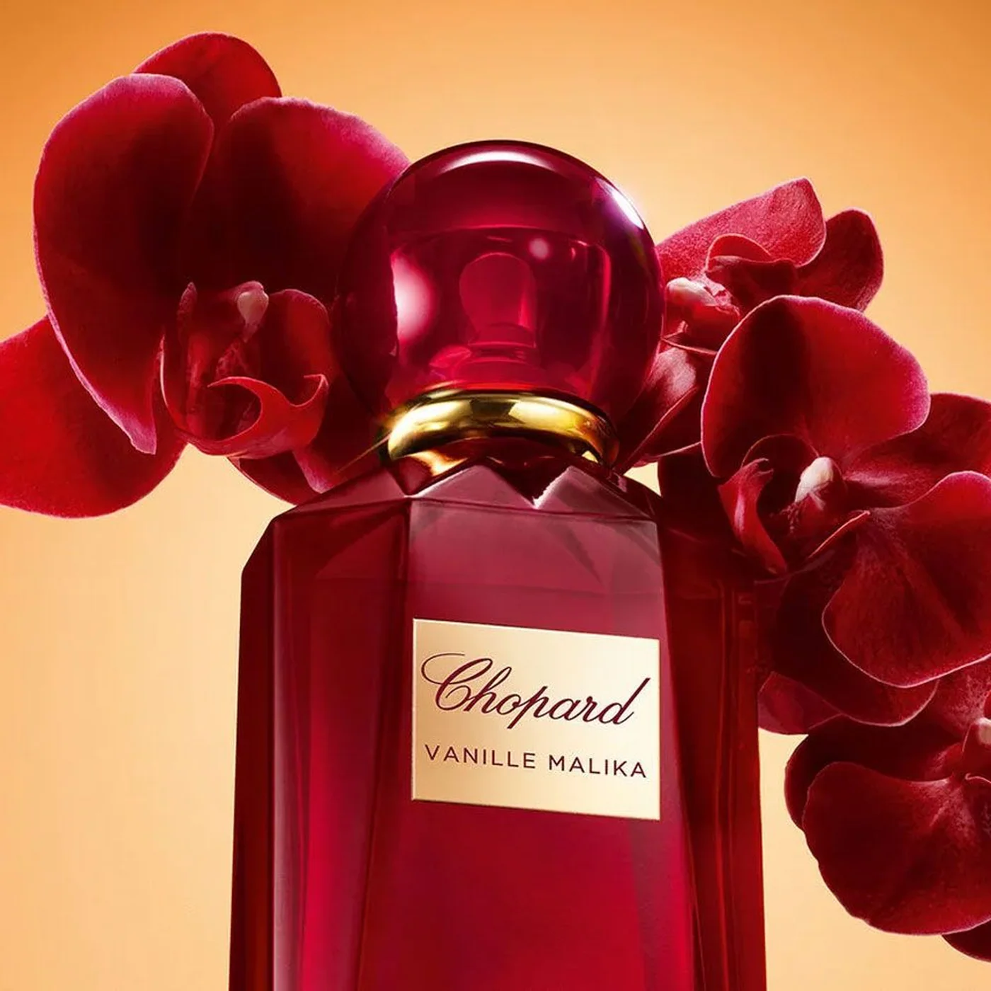 Chopard Imperiale Vanille Malika EDP 100Ml For Women - Image 5