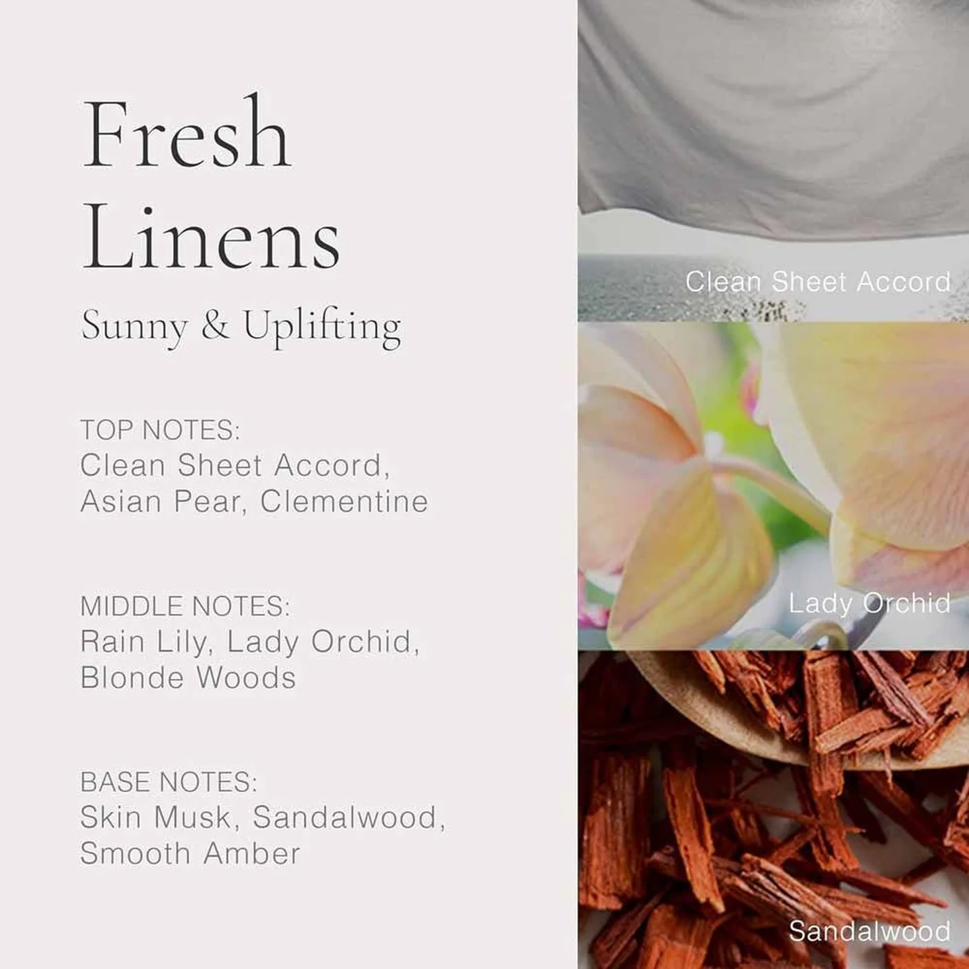 Clean Classic Fresh Linens EDP 60Ml Unisex - Image 3