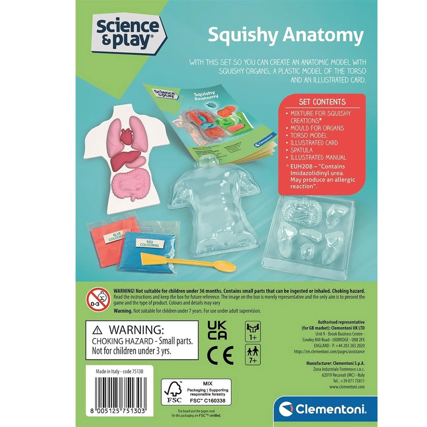 Clementoni Anatomy Squishy (USA) - Image 4