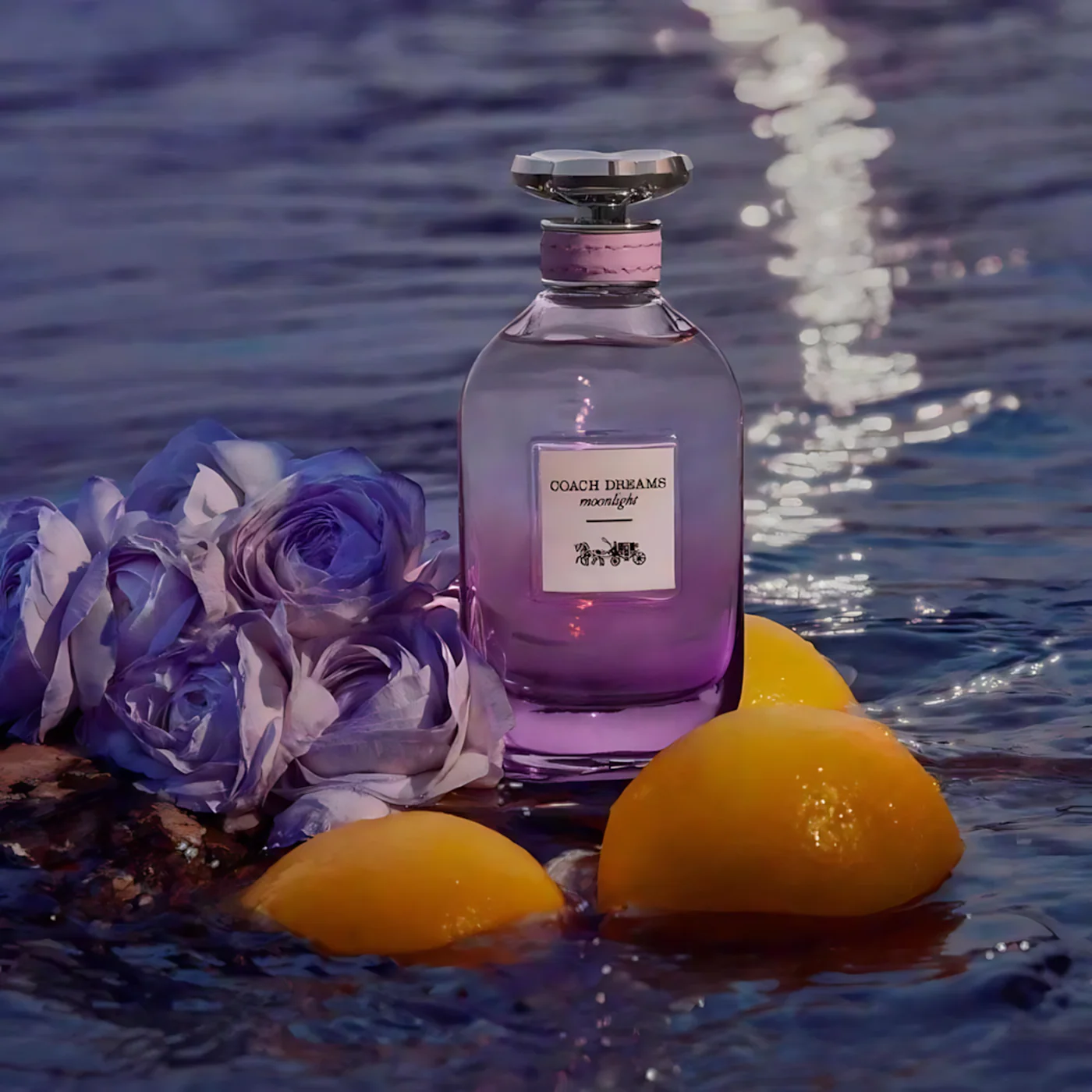 Coach Dreams Moonlight EDP For Women - Image 3