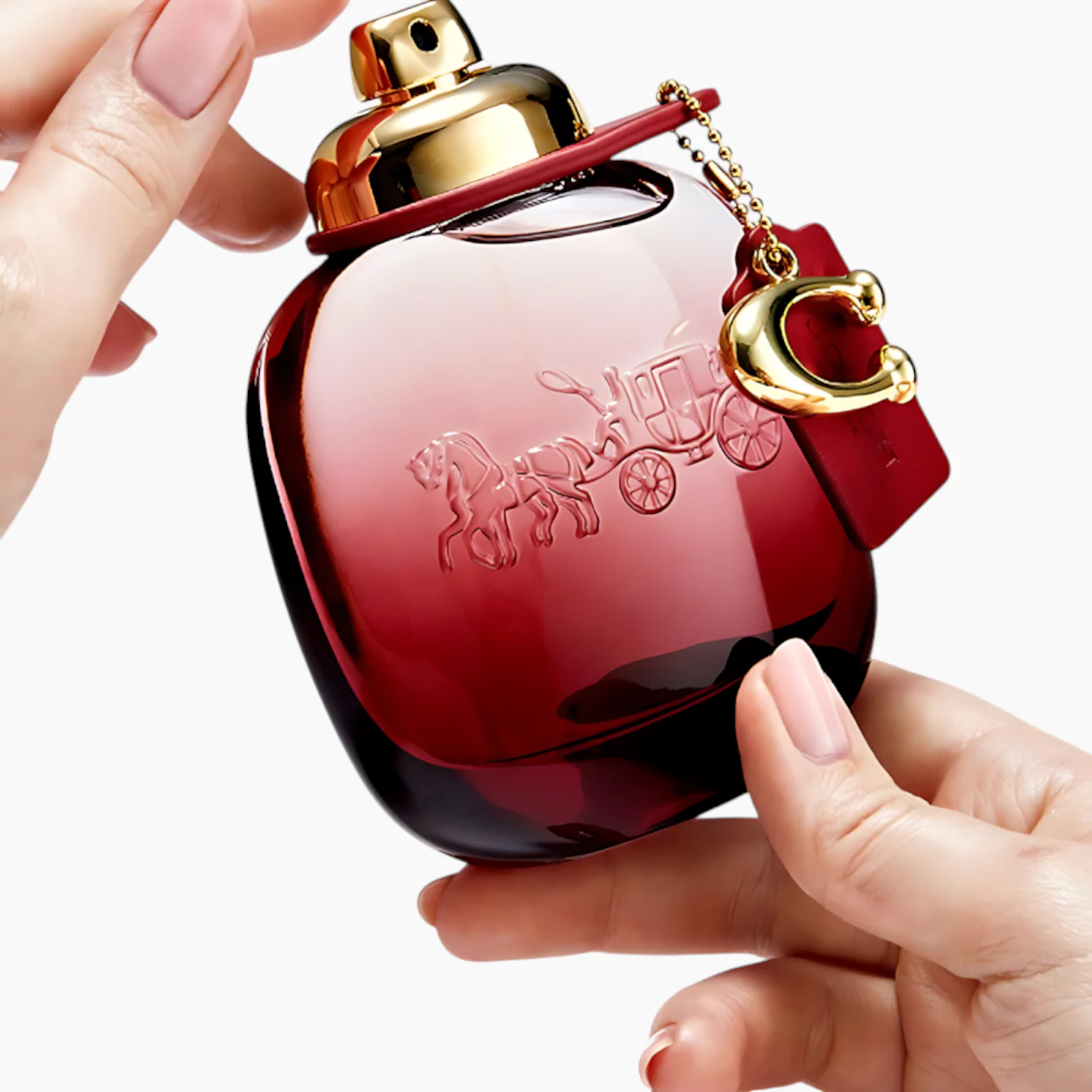 Coach Wild Rose EDP 90Ml For Women - Image 4