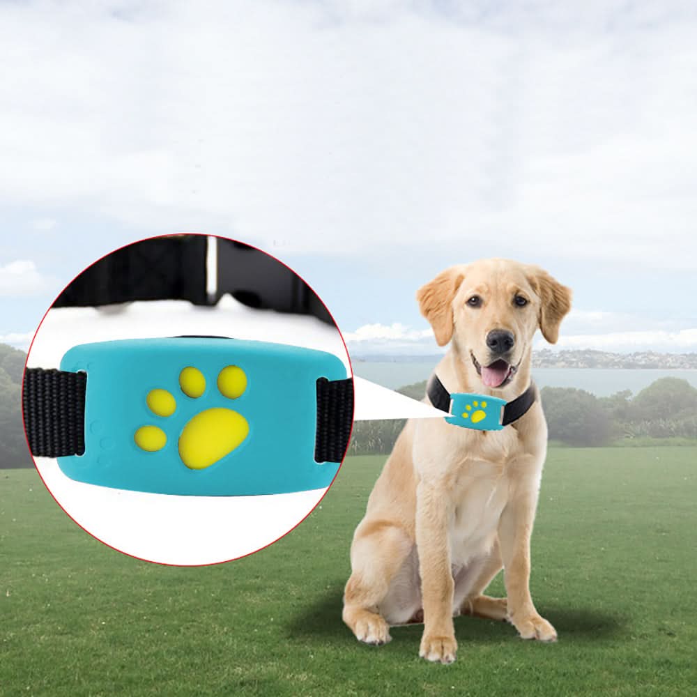 Best Buddies Compact GPS Tracker - Image 4