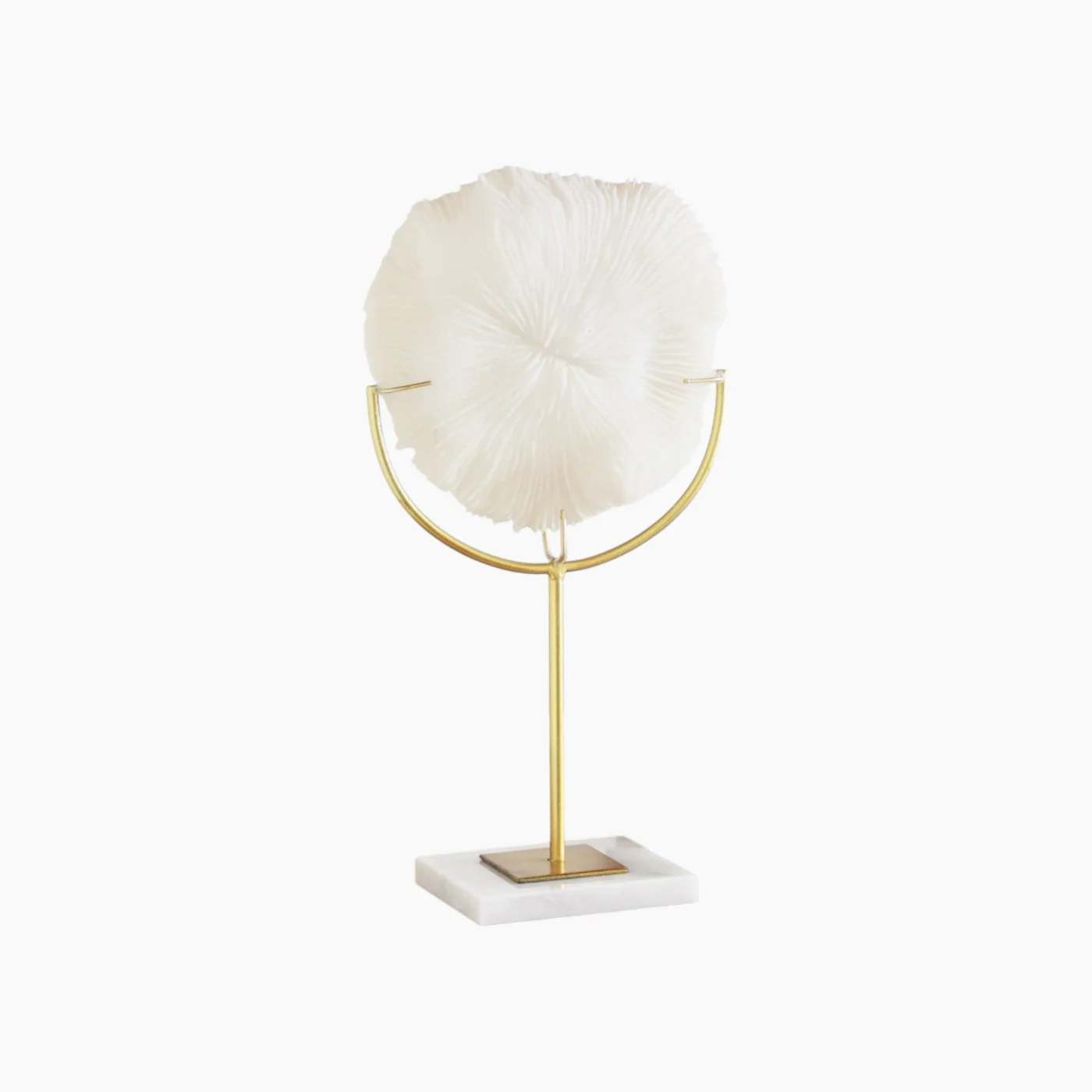 Coral Sculpture