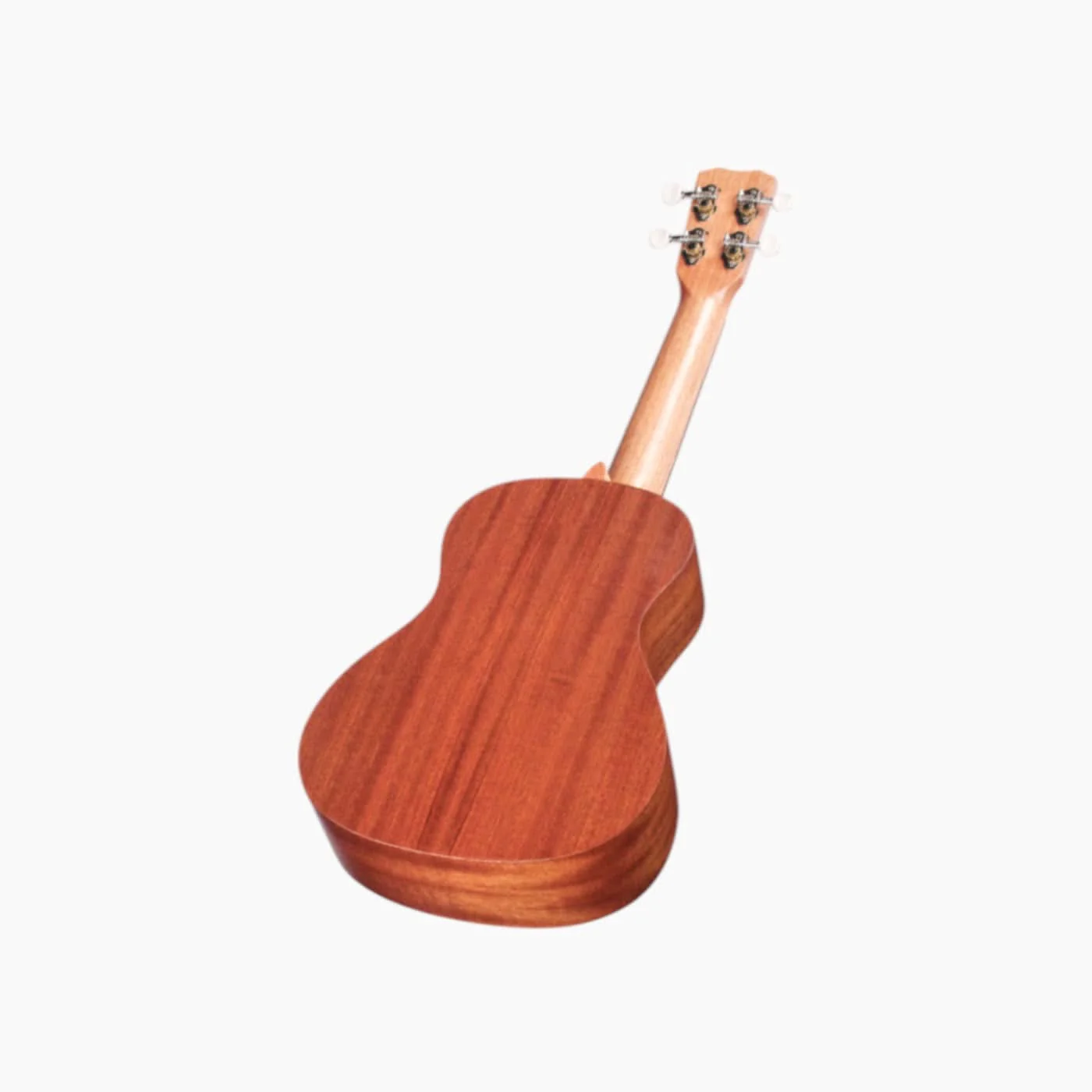 Córdoba U1C Concert Ukulele - Image 2
