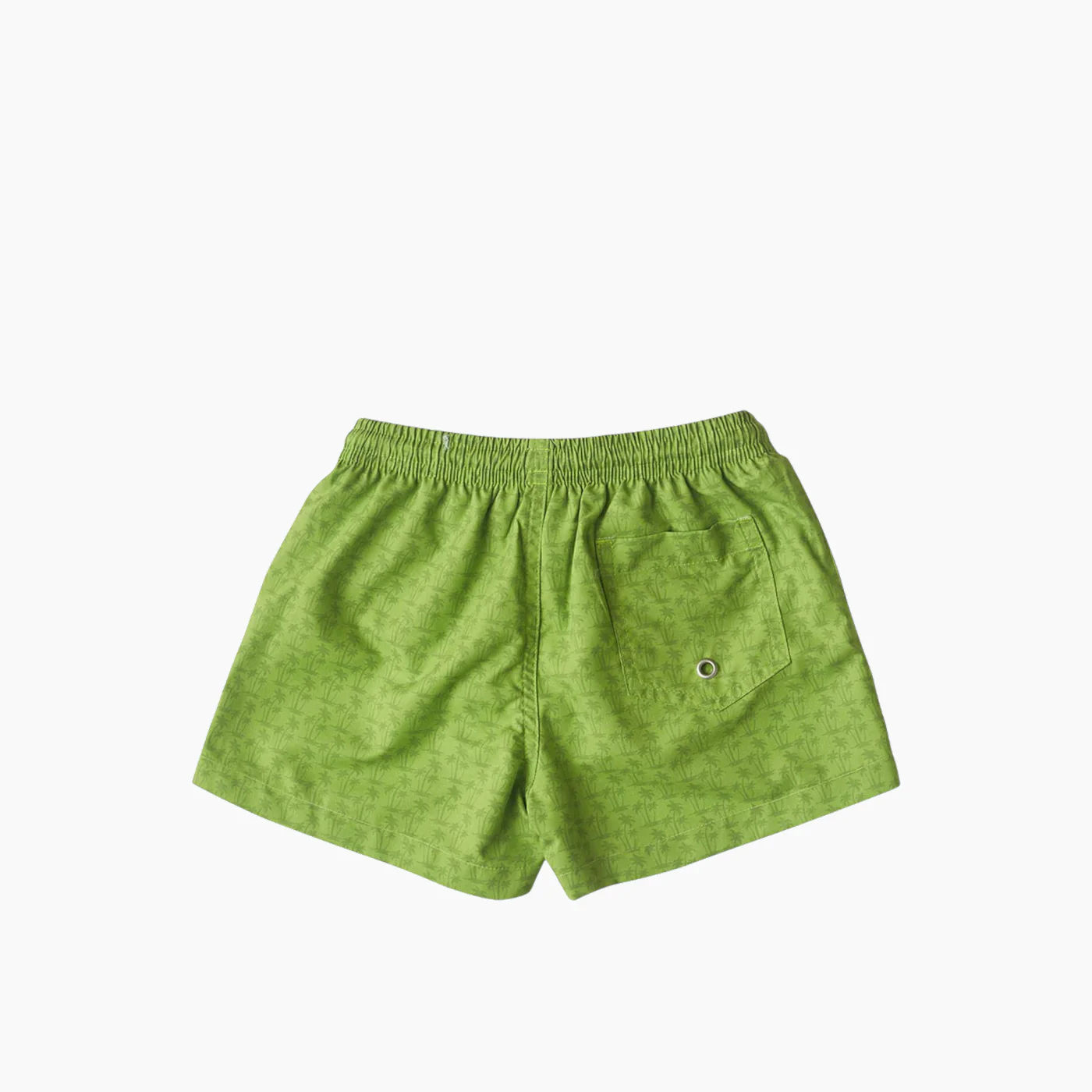Slipstop Crocodile Shorts - Image 2