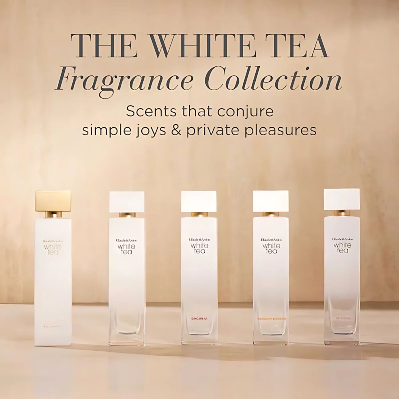 Elizabeth Arden White Tea EDP 100Ml For Women - Image 6