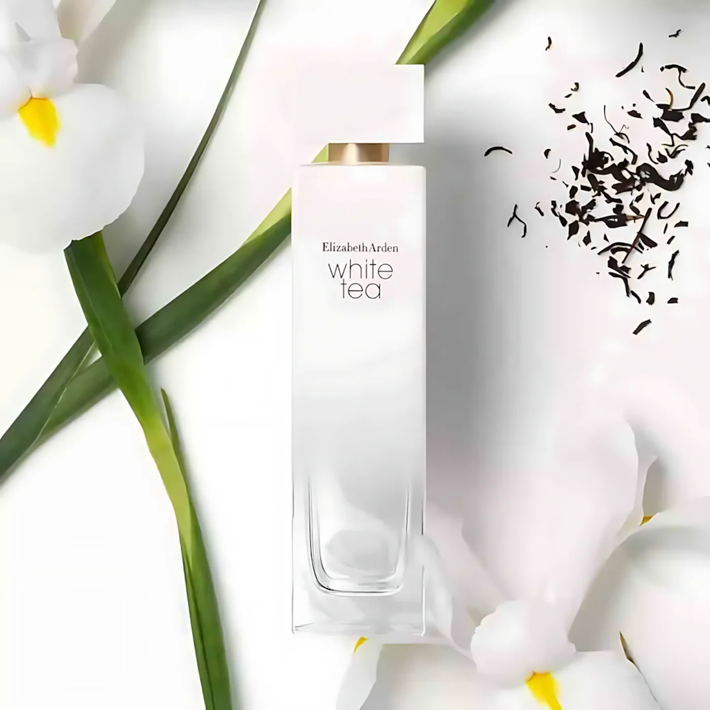 Elizabeth Arden White Tea EDT 100ML For Women - Image 3