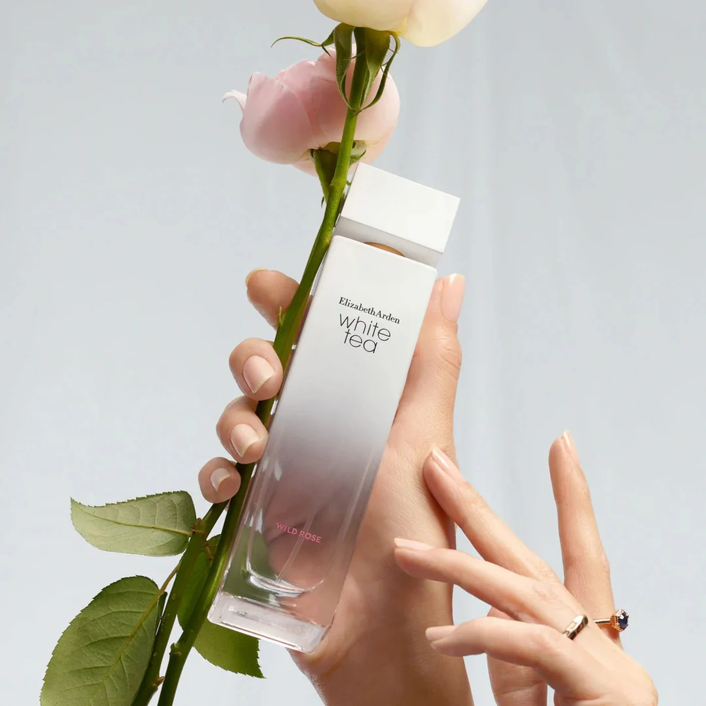 Elizabeth Arden White Tea Wild Rose EDT 100Ml For Women - Image 3