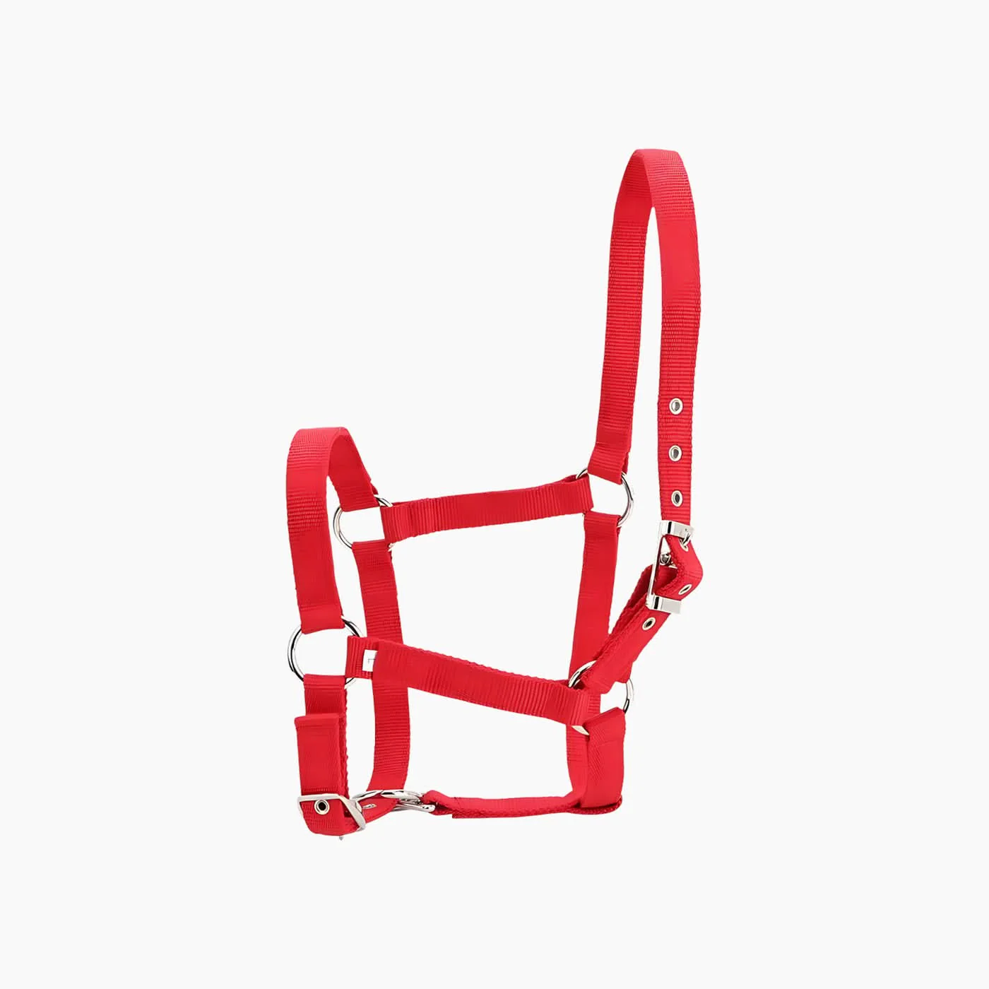 Euro Horse Draft Horse Saddle Pad - Image 4