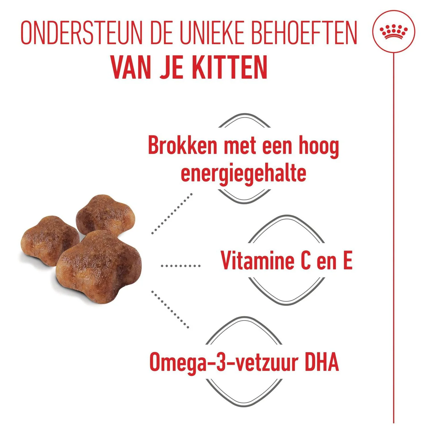 Royal Canin Fhn Mother & Baby Cat - Image 10