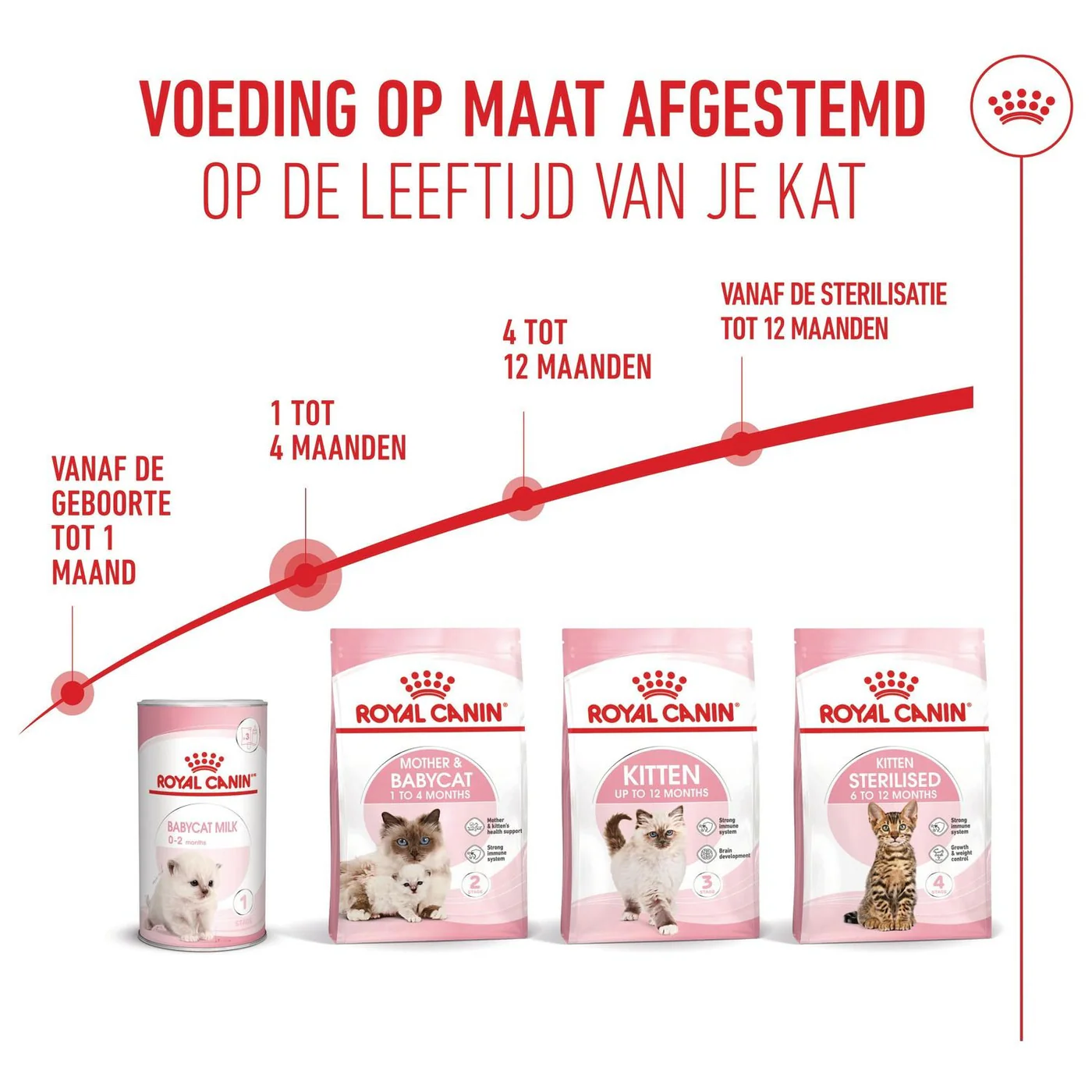Royal Canin Fhn Mother & Baby Cat - Image 6
