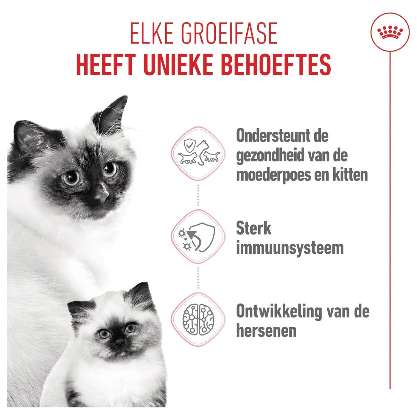 Royal Canin Fhn Mother & Baby Cat - Image 8