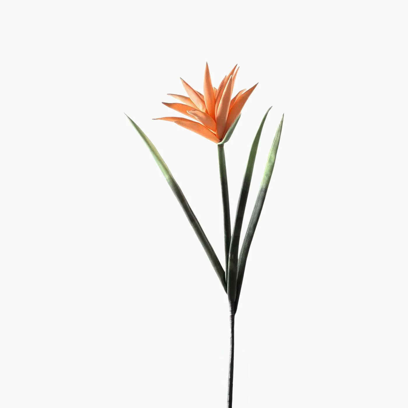 Leonardo Fiorec Cotton Flower Decorative Flower - Image 3