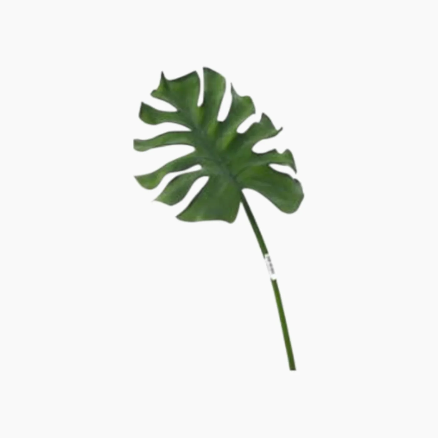 Green leaves