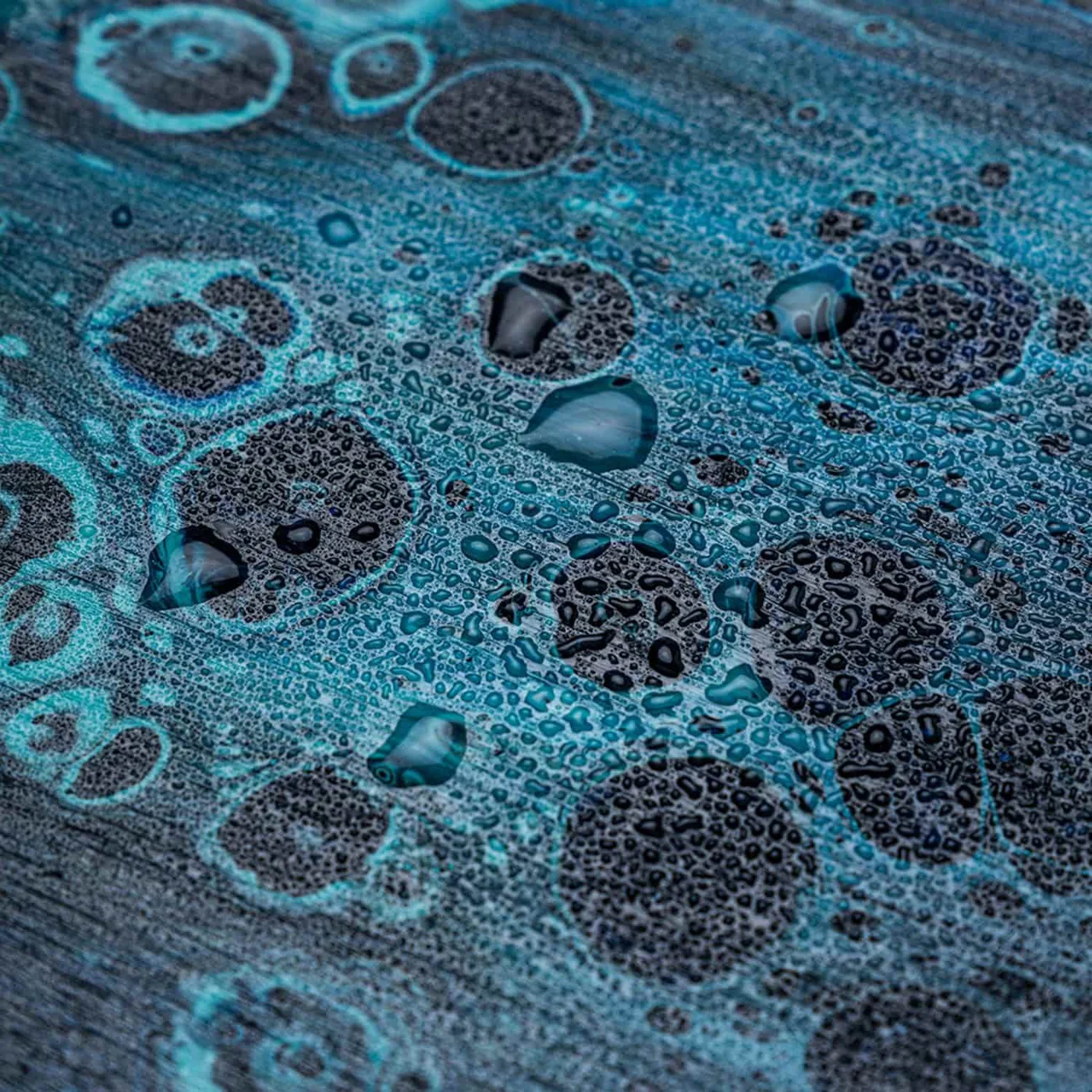 Miya Himi Clear Varnish - Image 5
