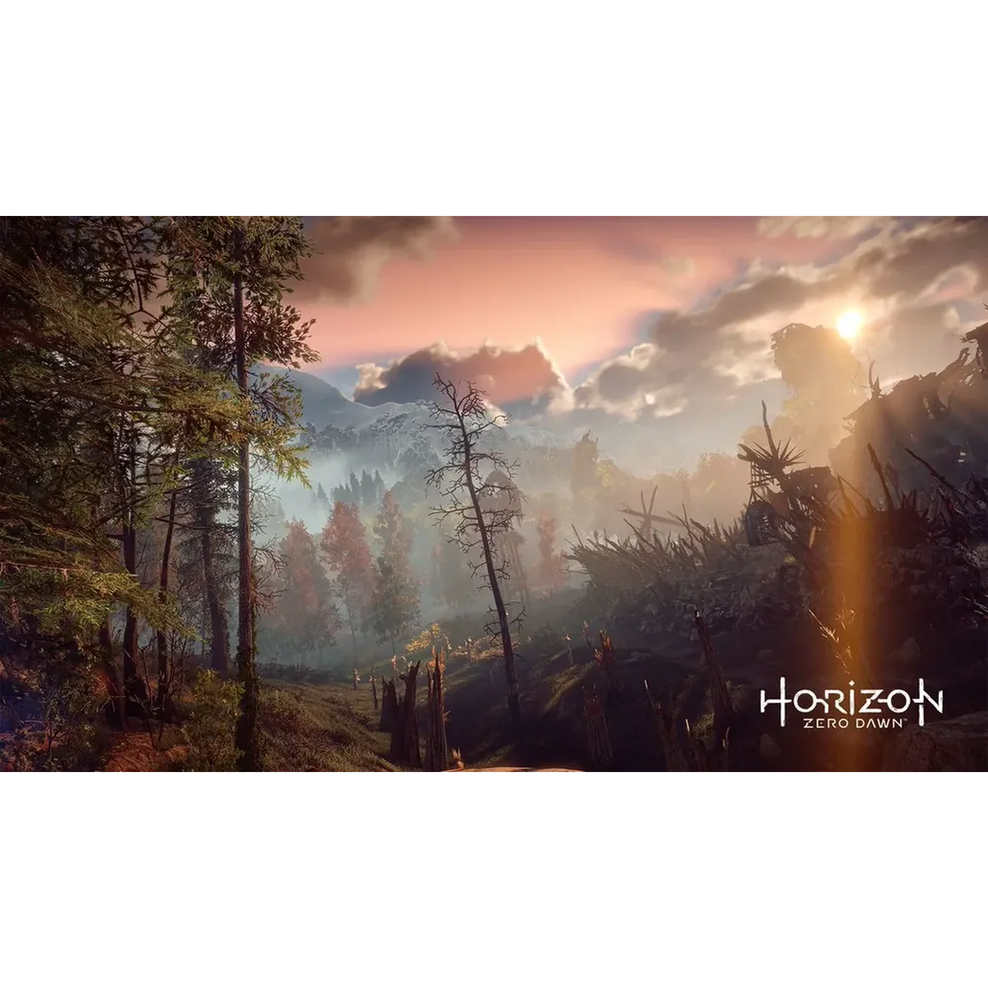 Game Planet Horizon Zero Dawn Game - Image 4