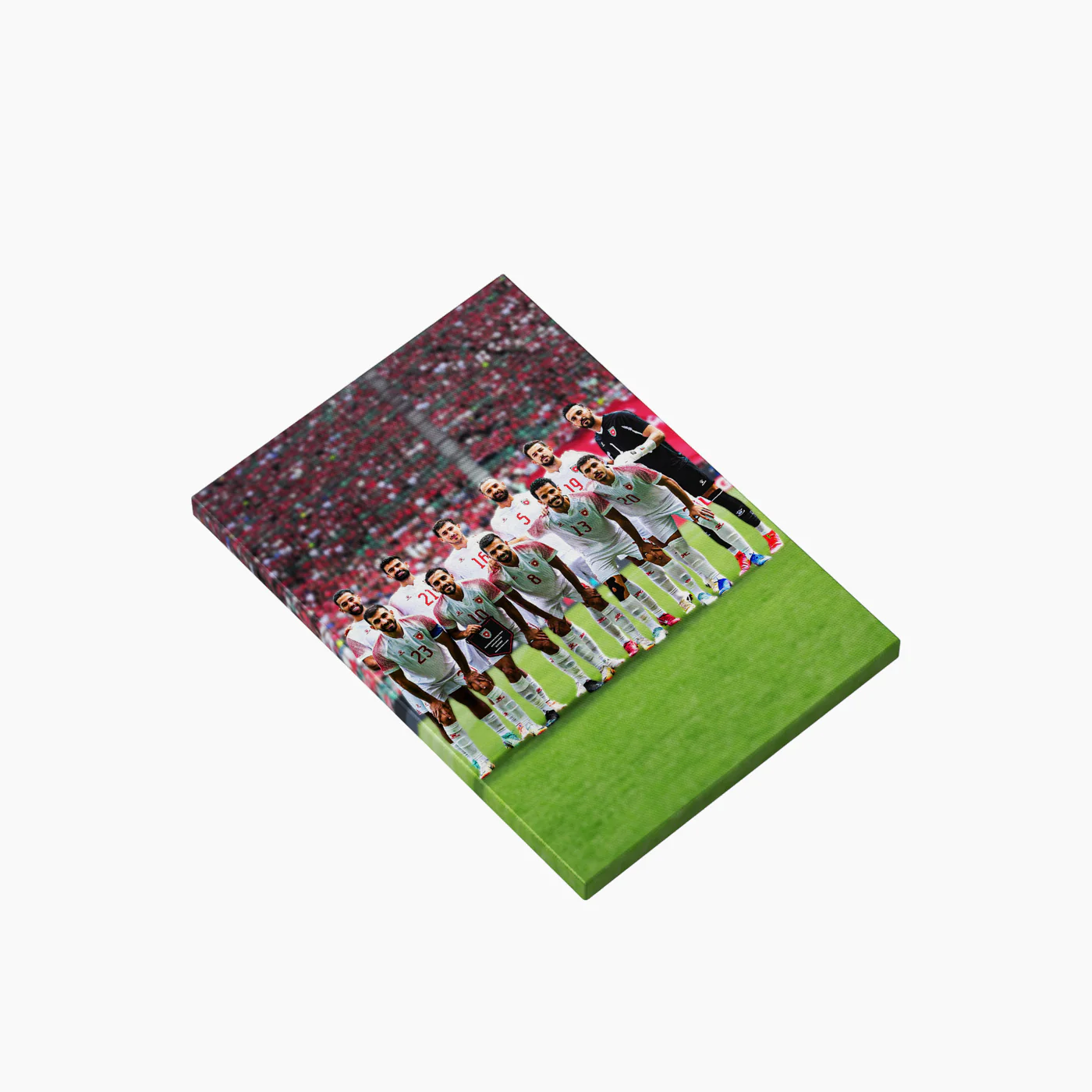 Sections Lifestyle Jordan Team A4 printed canvas 20*30 - Image 4