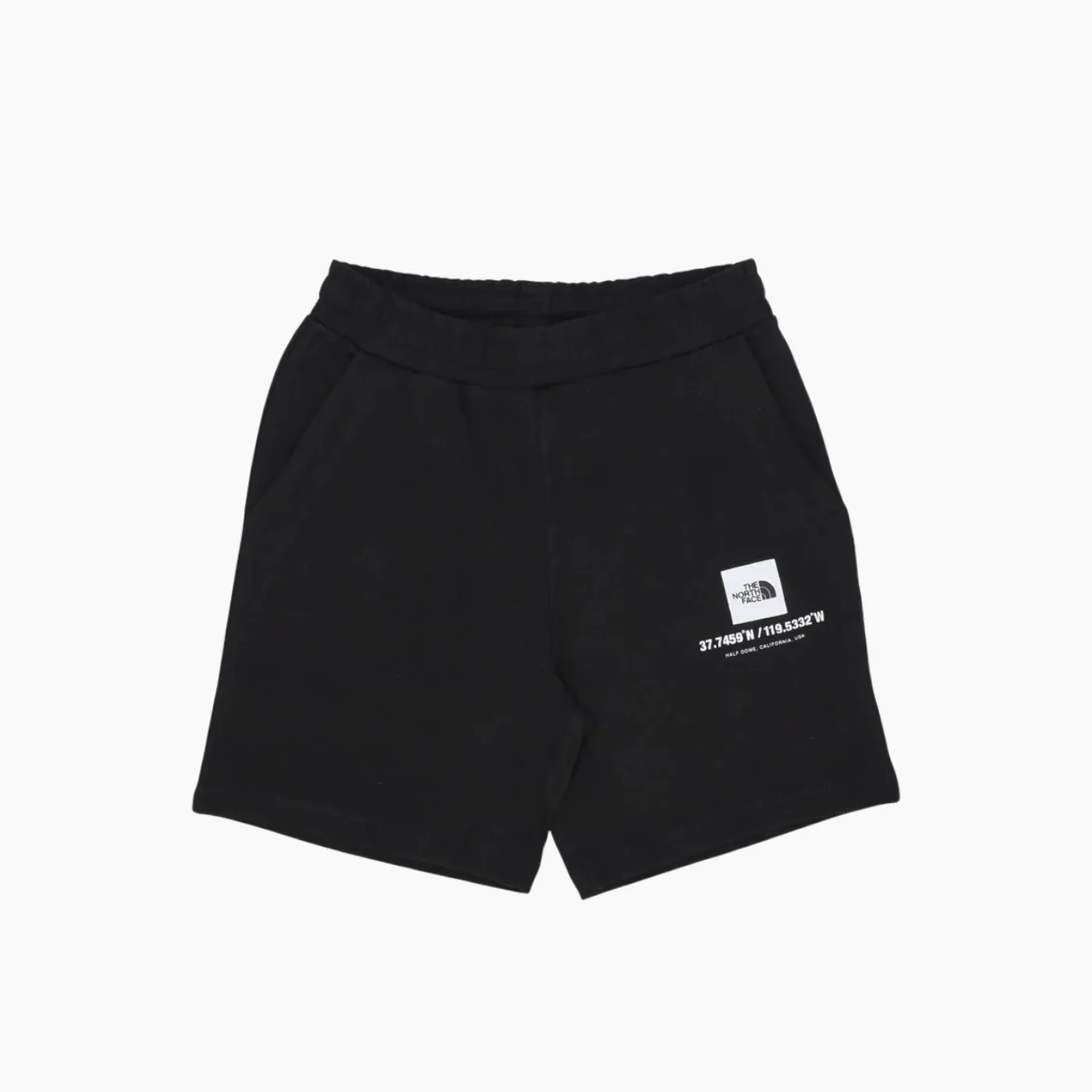 The North Face Coordinates Shorts
