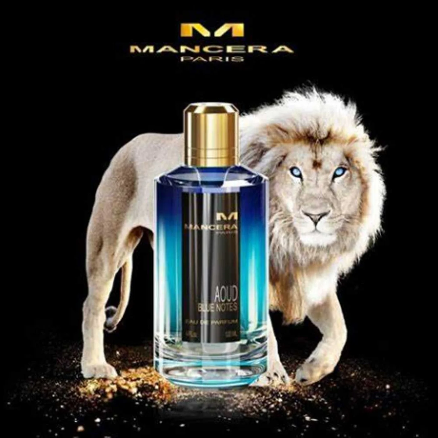Mancera Aoud Blue Note EDP 120ML Unisex - Image 4