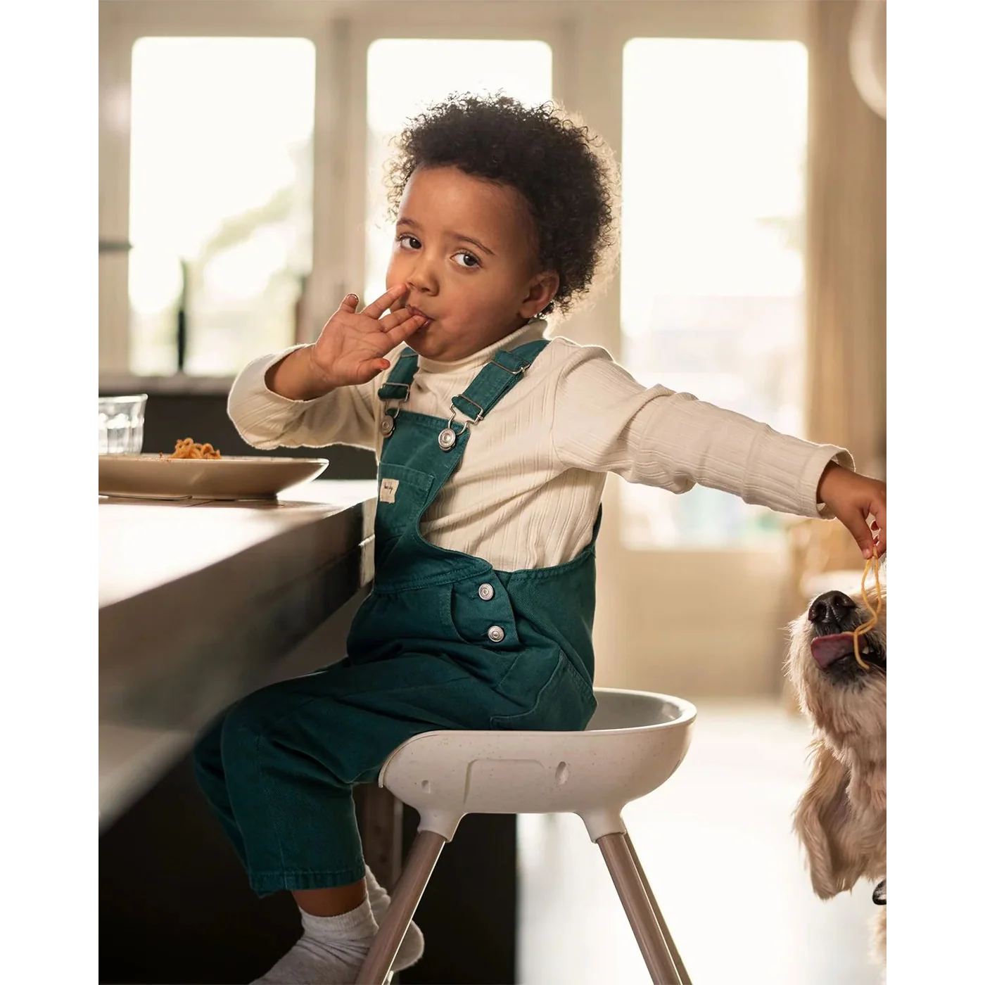 Maxi-Cosi Moa 8In1 Highchair White - Image 6