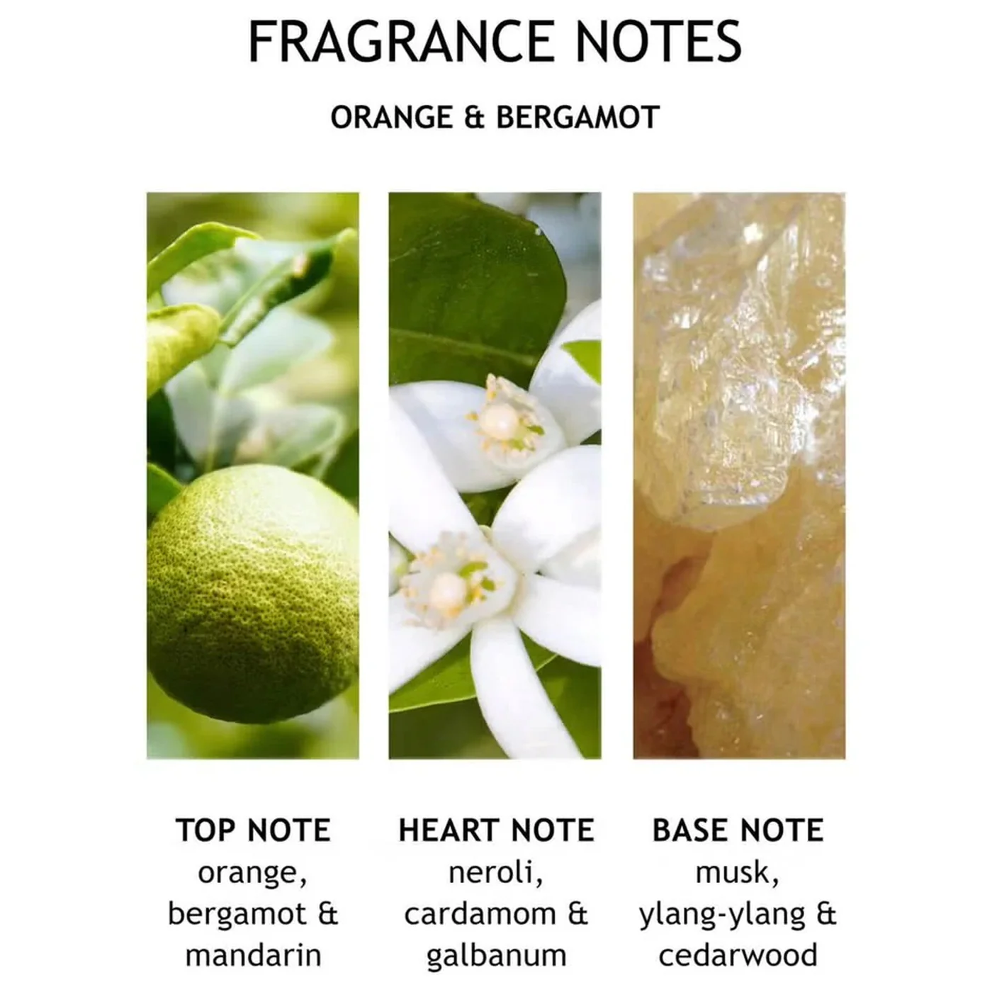 Molton Brown Orange & Bergamot Bath & Shower Gel - Image 4