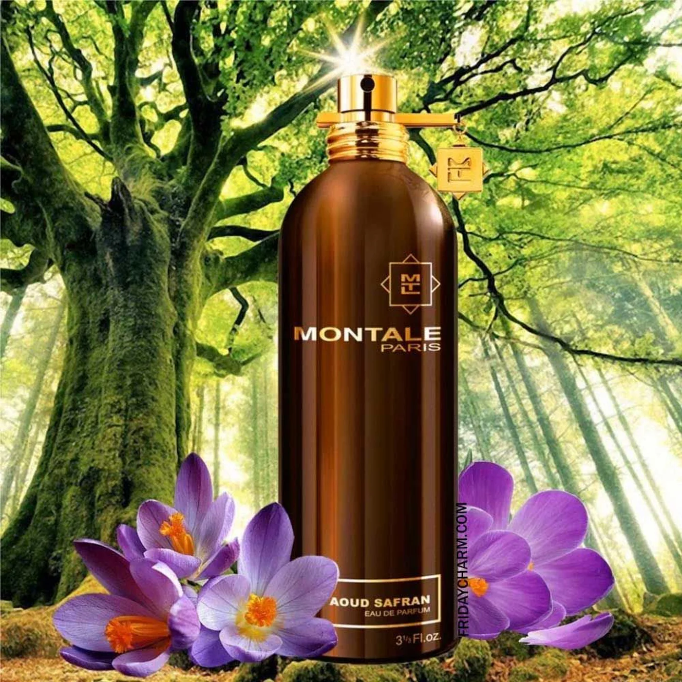 Montale Aoud Safran EDP 100ML Unisex - Image 3