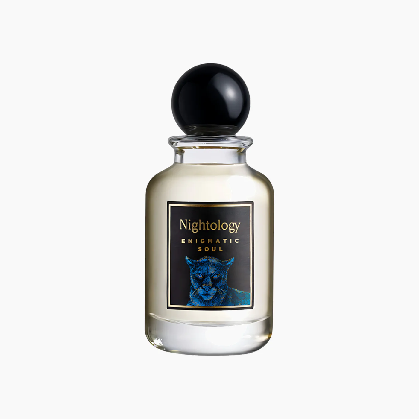 Nightology Enigmatic Soul EDP 100Ml Unisex