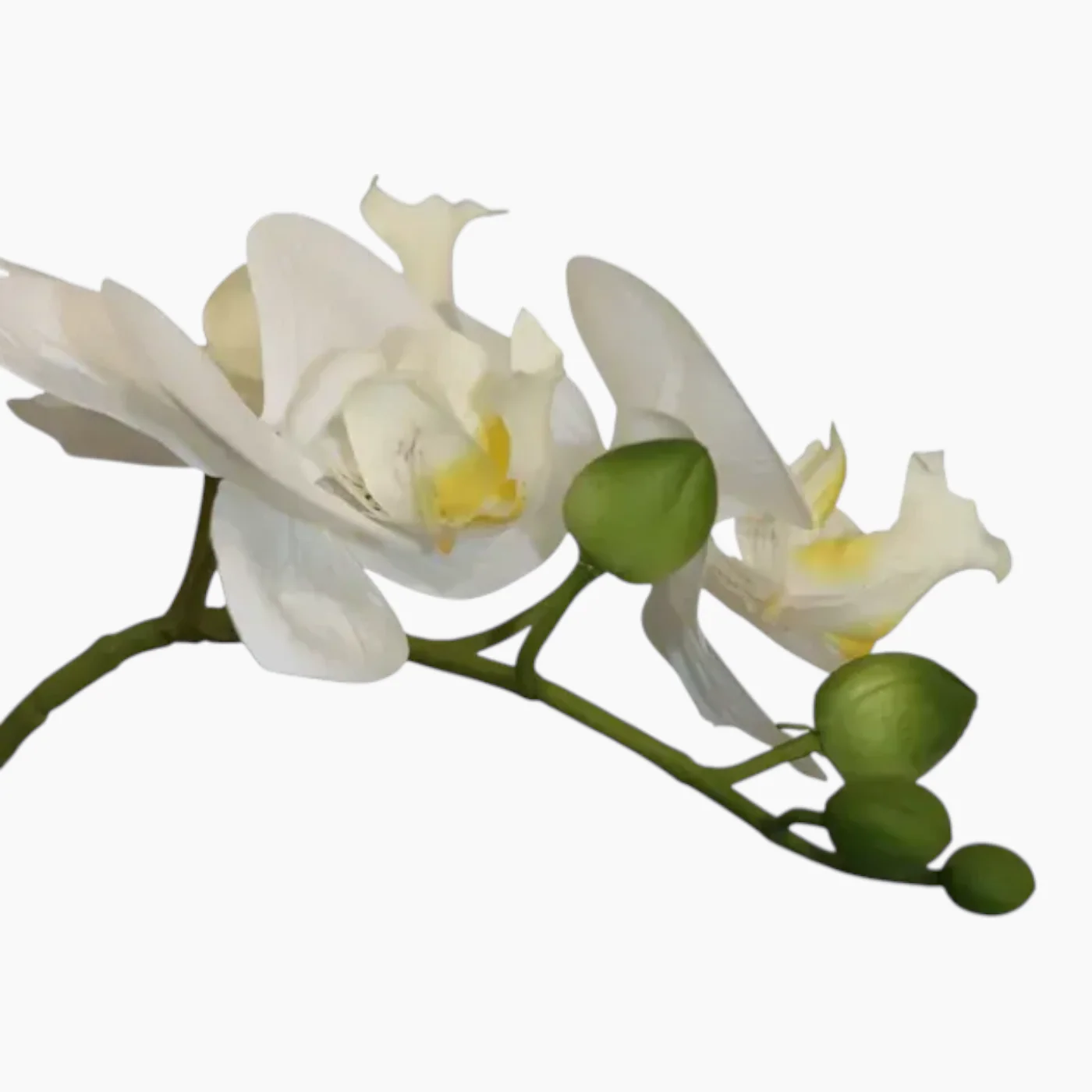Nova Home Ivoria Phalaenopsis Arrangement - Image 7