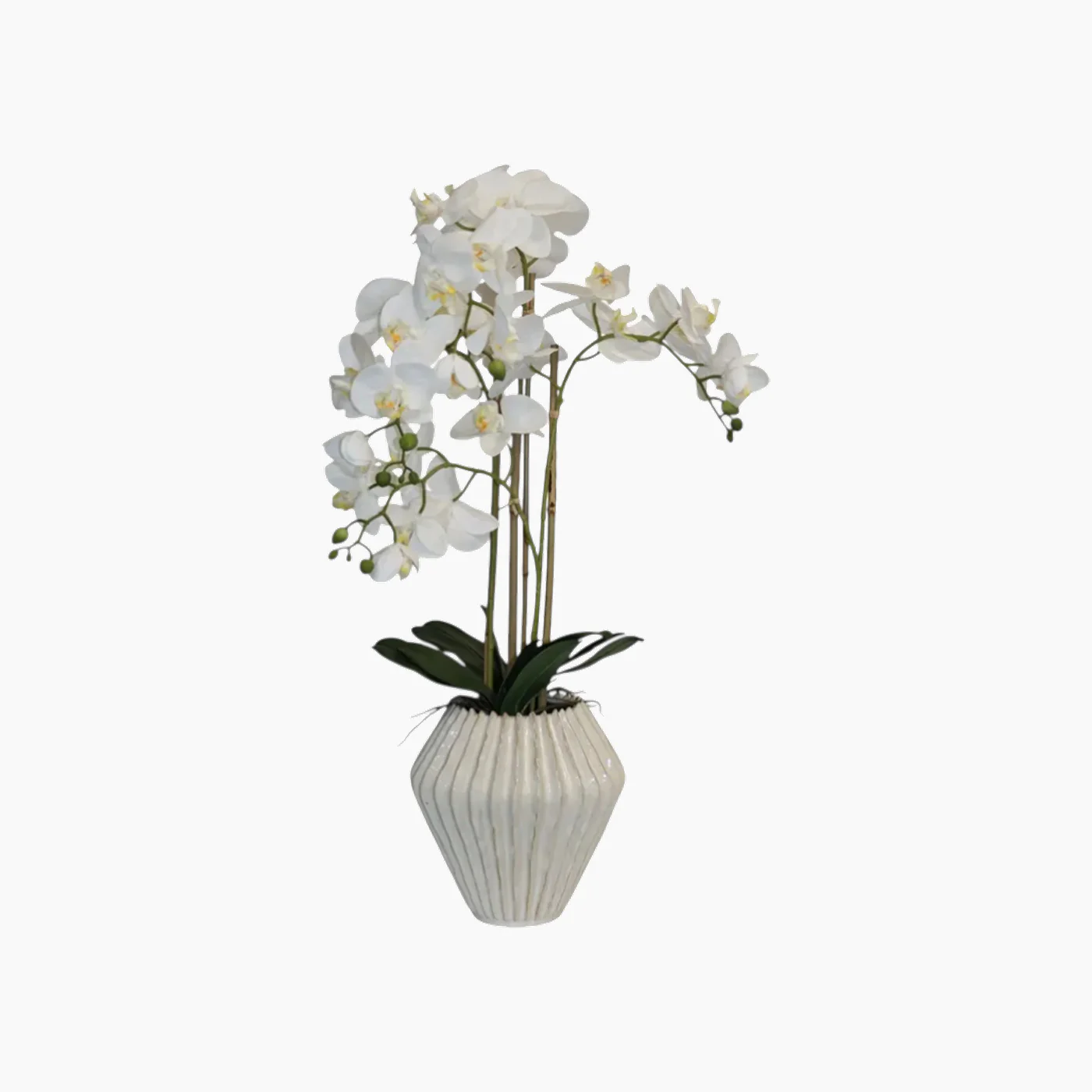 Nova Home Lunaria Phalaenopsis Arrangement - Image 3