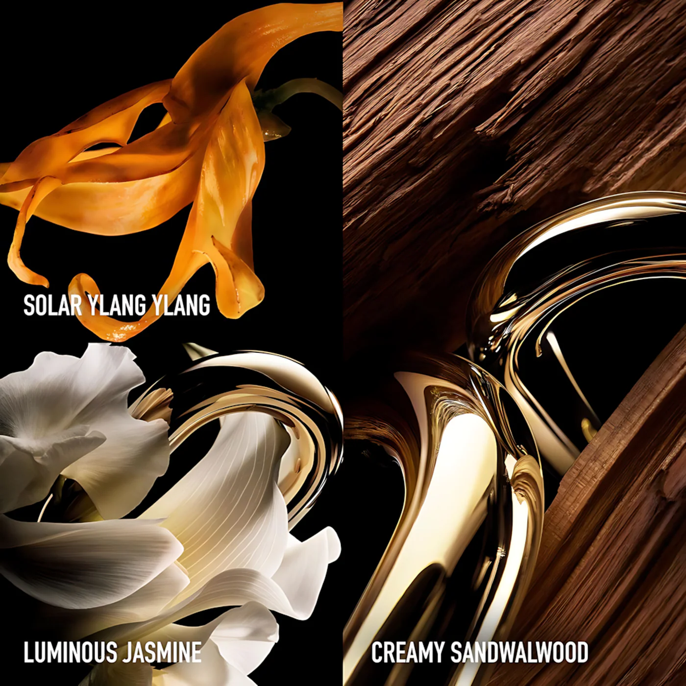 Paco Rabanne Million Gold Parfum For Women - Image 3