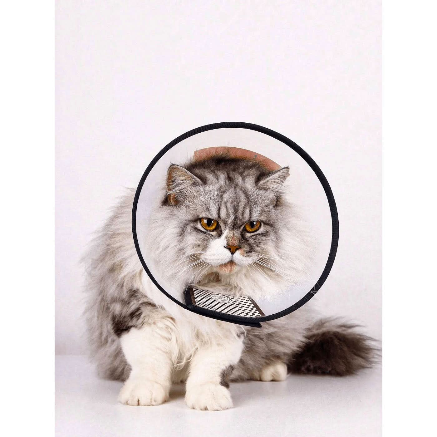Pet Village Pet Protection Collar - Image 11