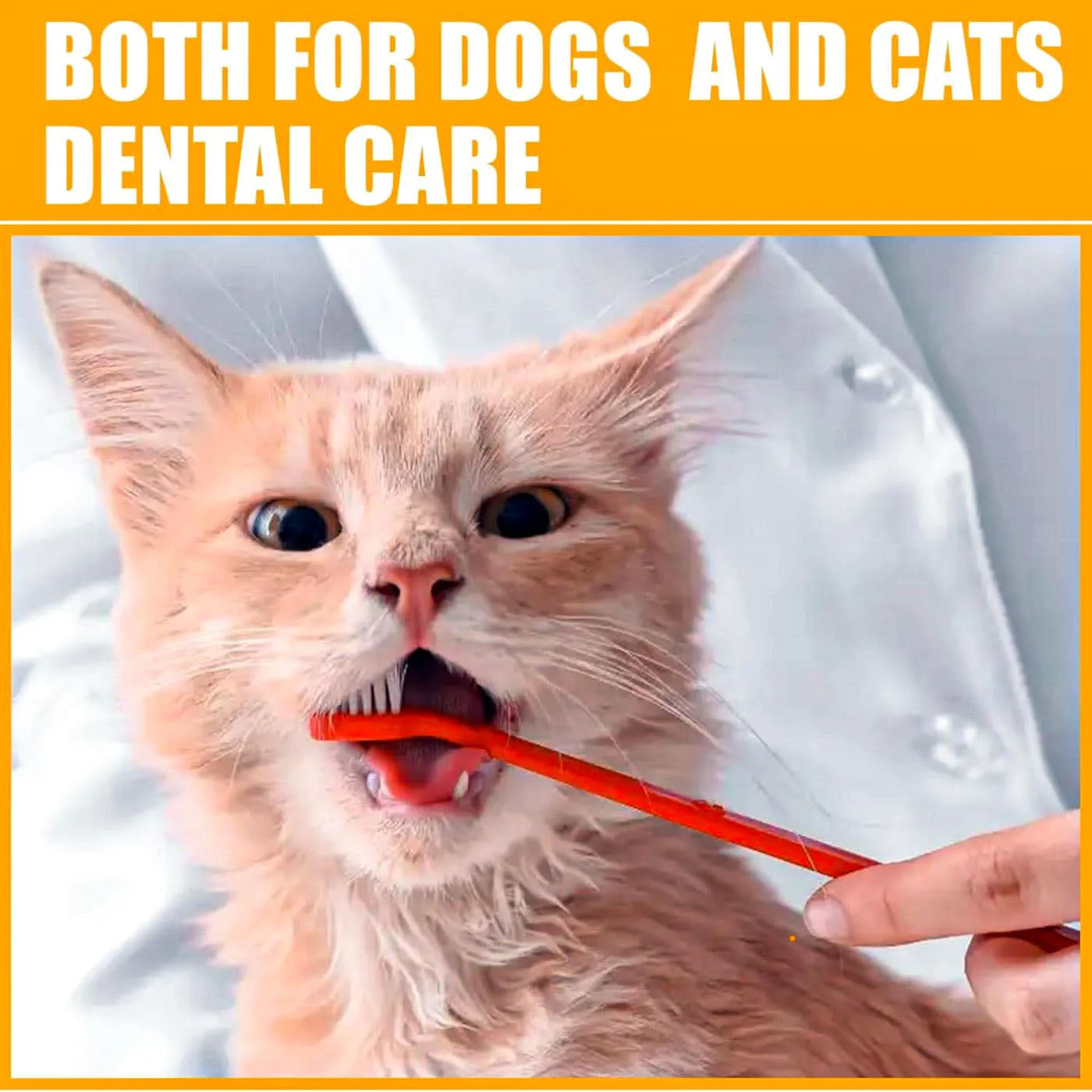 Pet Village Pets Fresh Breath Kit - Image 6