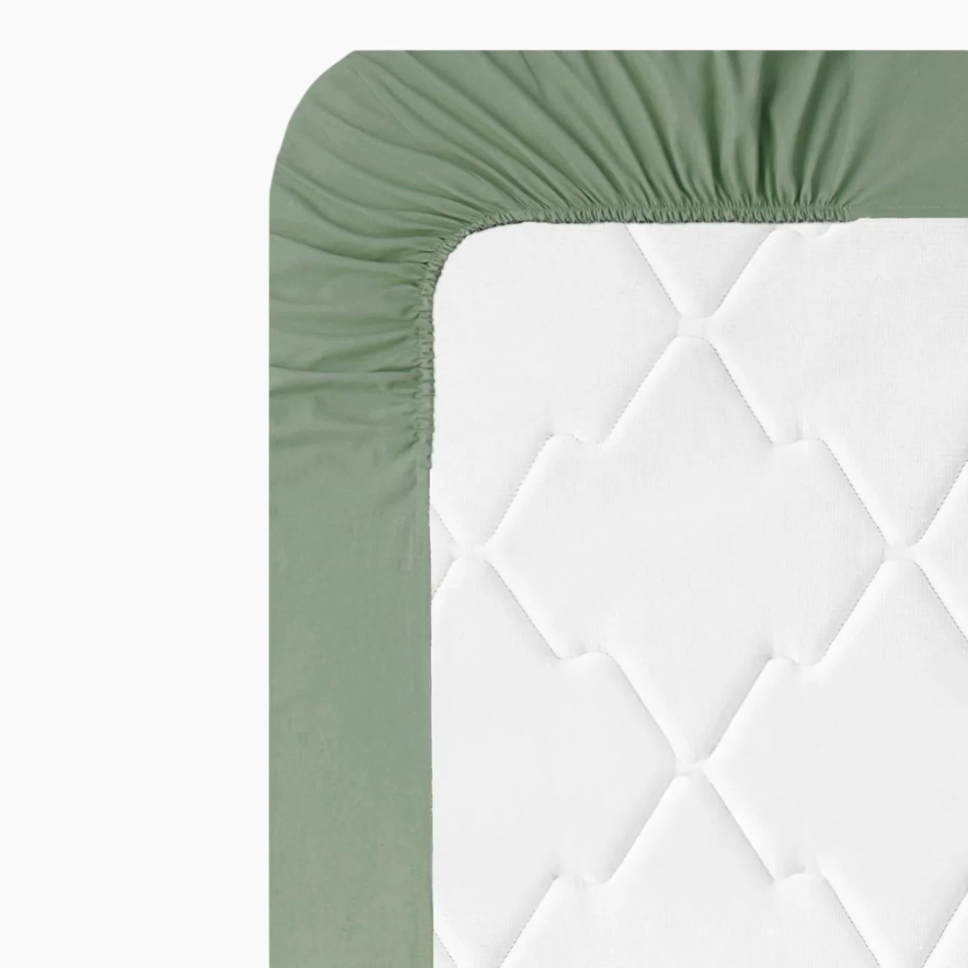 EH Living Plain Cotton Fitted Sheet - Image 7