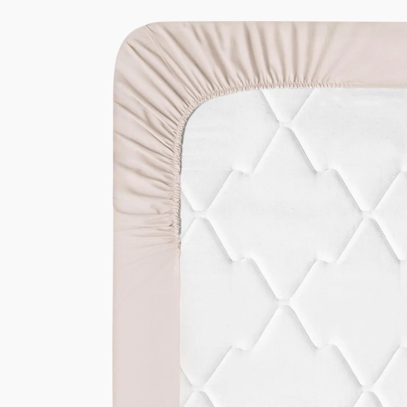EH Living Plain Cotton Fitted Sheet - Image 9