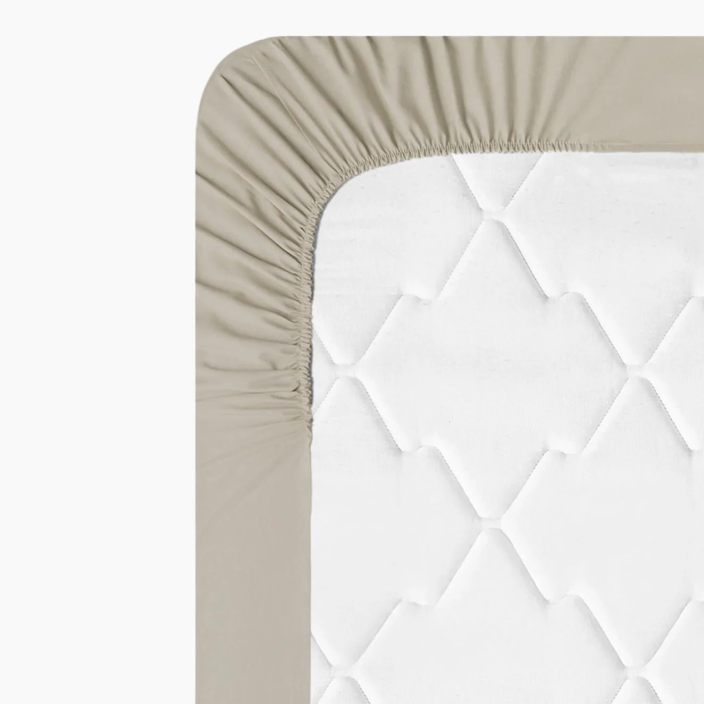 EH Living Plain Cotton Fitted Sheet - Image 16