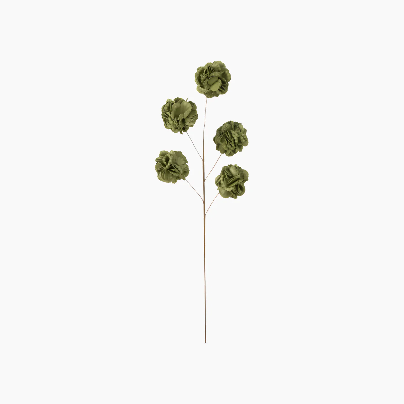 Pomp Green Flower