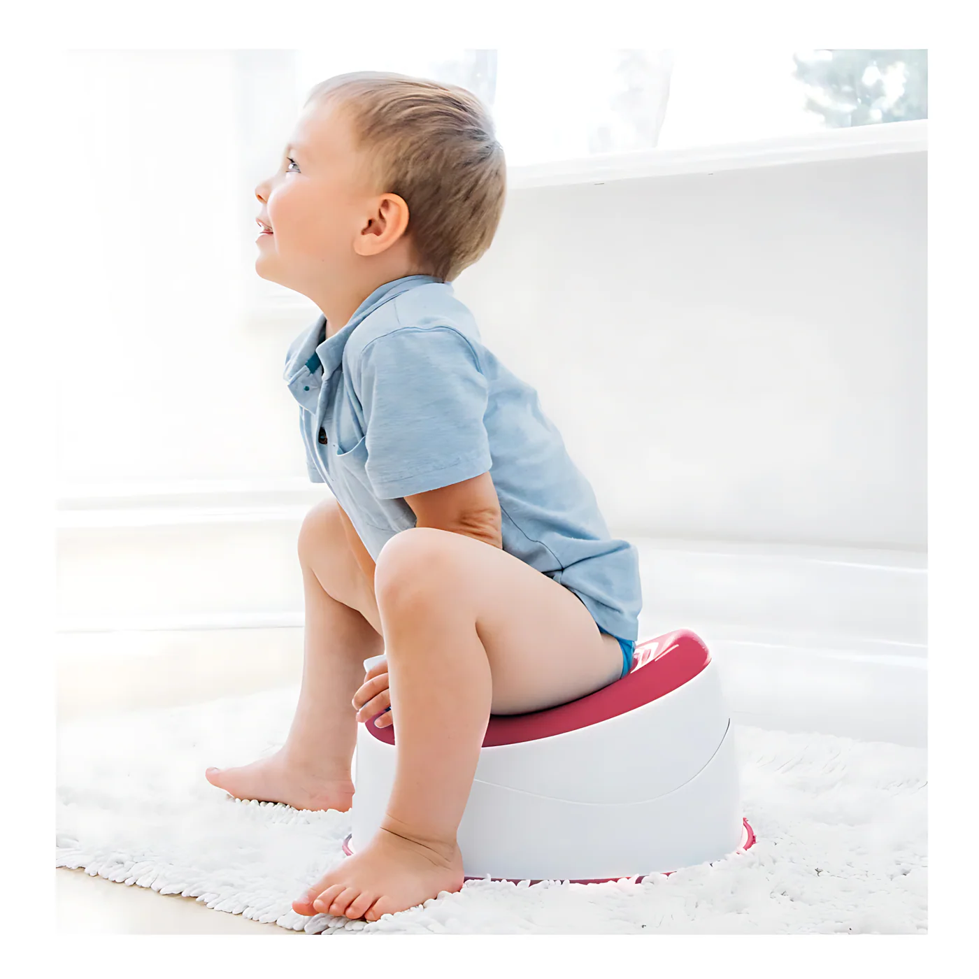 Prince Lionheart PottyPOD Potty Trainer - Image 10