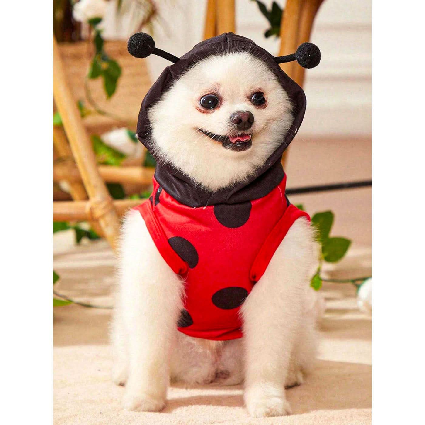 Pet Village Ladybug Cosplay Pet Vest - Image 3