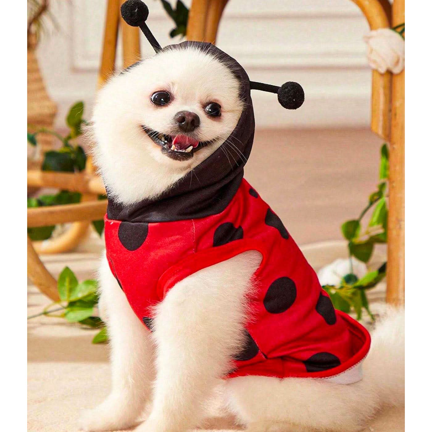 Pet Village Ladybug Cosplay Pet Vest - Image 4